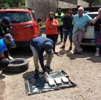 En Salta, atraparon a una banda narco que abastecía de cocaína a varias provincias