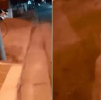 Perdió el celular por la calle, se lo devolvieron pero le dejaron grabado un video que se volvió viral en las redes
