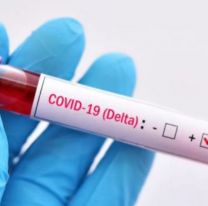 Se detectaron nuevos casos de variantes de COVID-19 en Salta: cuántos son