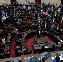 Diputados repudiaron por unanimidad el atentado que sufrió Cristina Kirchner