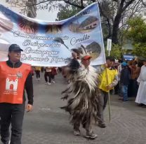 A puro baile y vestidos con plumas: así llegaron algunos peregrinos de La Puna