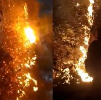 El infierno en persona: así es la lucha contra los incendios en Salta 