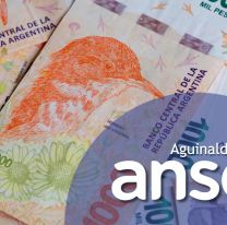 Anses confirmó la fecha en que pagará el aguinaldo a millones de argentinos