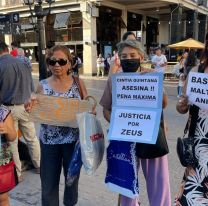 Justicia por Zeus: salteños convocan a una nueva marcha contra el maltrato animal