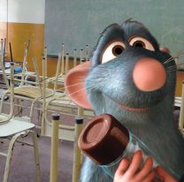 No era Ratatouille yendo a clases: escuela de Salta se llenó de "animalitos"  