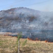 El impactante video que muestra como el fuego se está comiendo el cerro frente a la UCASAL 