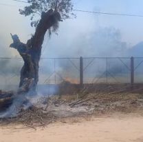 Incendio dentro de una escuela en Salta: habían niños en el establecimiento