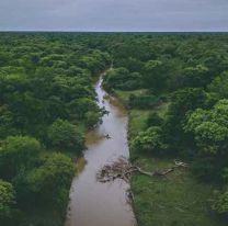 Descubrimiento en la Amazonía brasileña sorprende a científicos del mundo