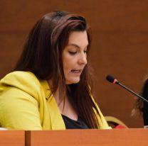 Mónica Juárez juró nuevamente para representar a los salteños en la Cámara de Diputados