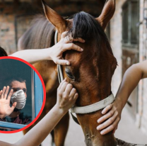 Aislaron a 20 salteños luego de la muerte de un caballo: "Rara enfermedad contagiosa"
