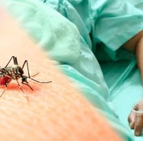 Salta entre las provincias con menos casos de dengue