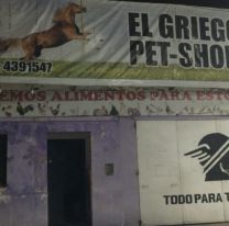 Terrible robo en una veterinaria de Salta: lograron detener al chorro