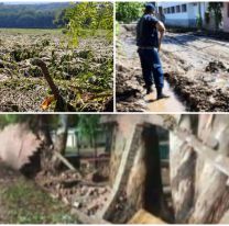 Más de 60 familias evacuadas: así quedó Guachipas tras el temporal