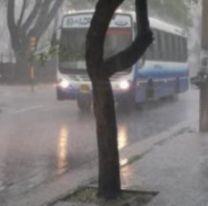 Alerta meteorológica por fuertes tormentas para Salta: las zonas en peligro