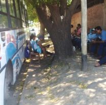 Paro en Tartagal: suspenden el servicio de transporte