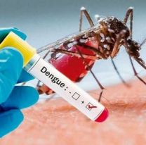 No recomiendan fumigar para combatir el dengue: la palabra de un especialista del CONICET 