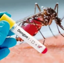 Argentina, Brasil y Paraguay no dan a basto con el dengue: casi 2.000.000 de casos