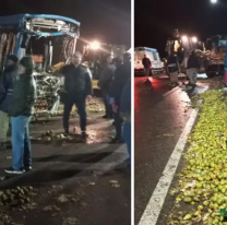 [URGENTE] Terrible accidente entre camión y colectivo en la ruta: varios muertos y heridos