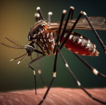 [ALERTA] Dos muertes nuevas por dengue en Salta: ya son 25 los fallecidos