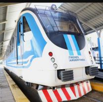 Trenes Argentinos prepara más de 6 mil despidos: cuándo enviarían los telegramas