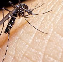 Volvió a aumentar: confirmaron más de 22.000 casos de dengue en Salta