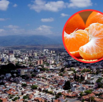 A preparar las mandarinas: se avecina el sol en Salta y mejora el tiempo