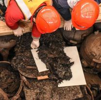 Descubrieron una tumbra de 2.200 años en China que sorprende a investigadores por su contenido