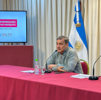 "Brote histórico de dengue en el país": ciudades y edades más afectadas en Salta
