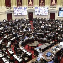 Ley Bases y paquete fiscal: Diputados dio quórum y empezó la sesión