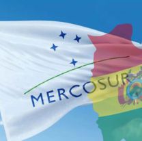 Bolivia se une al Mercosur: cuáles son los beneficios